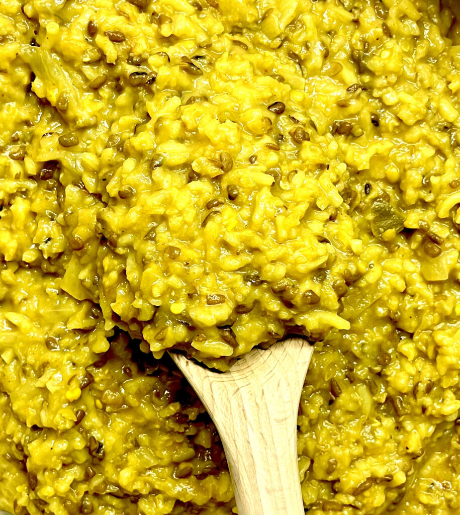 khichdi with spoon