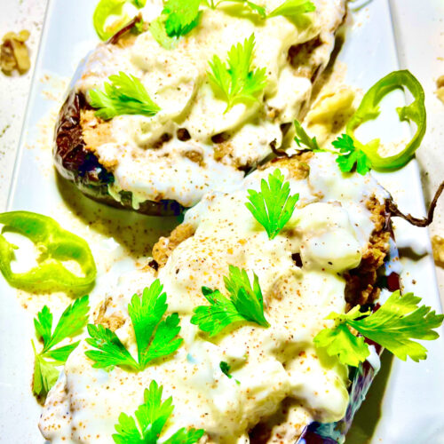 moroccan stuffed eggplant with garnishes