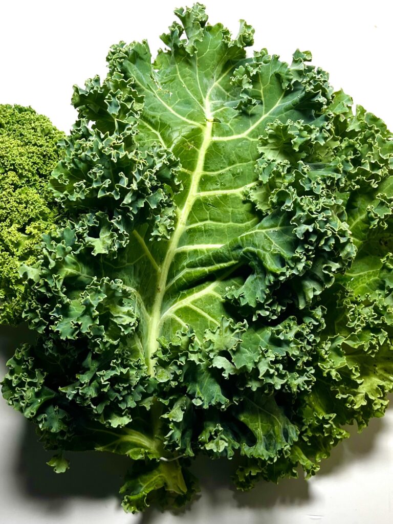 fresh kale